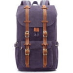 evervanz_backpack_purple_1